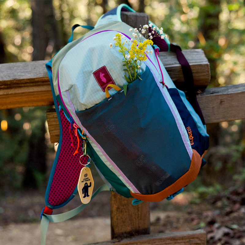 Elqui 18L Daypack, Cotopaxi Elqui 18L Daypack lifestyle