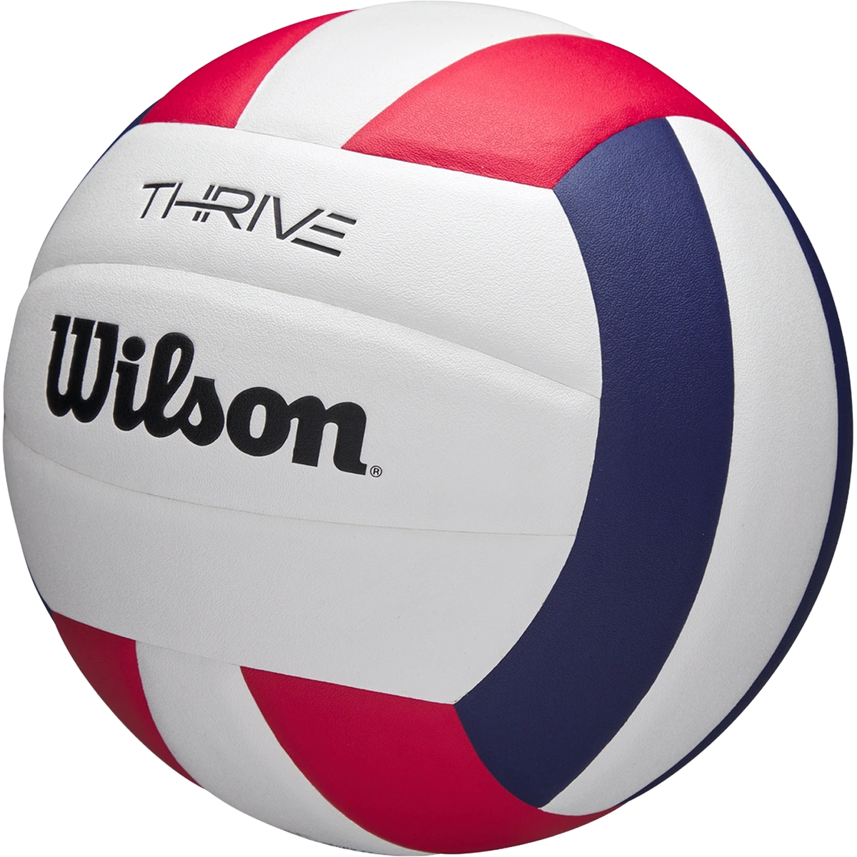 Thrive Game Volleyball alternate view