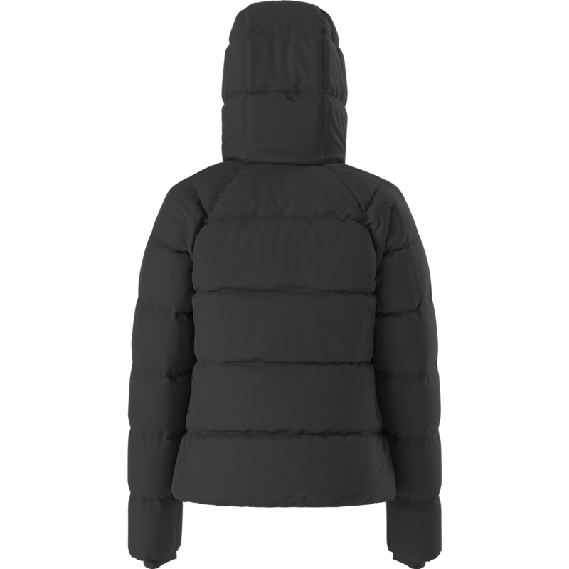 Women's Hydrenalite City Down Hooded Jacket, The North Face Women's Hydrenalite City Down Hooded Jacket back