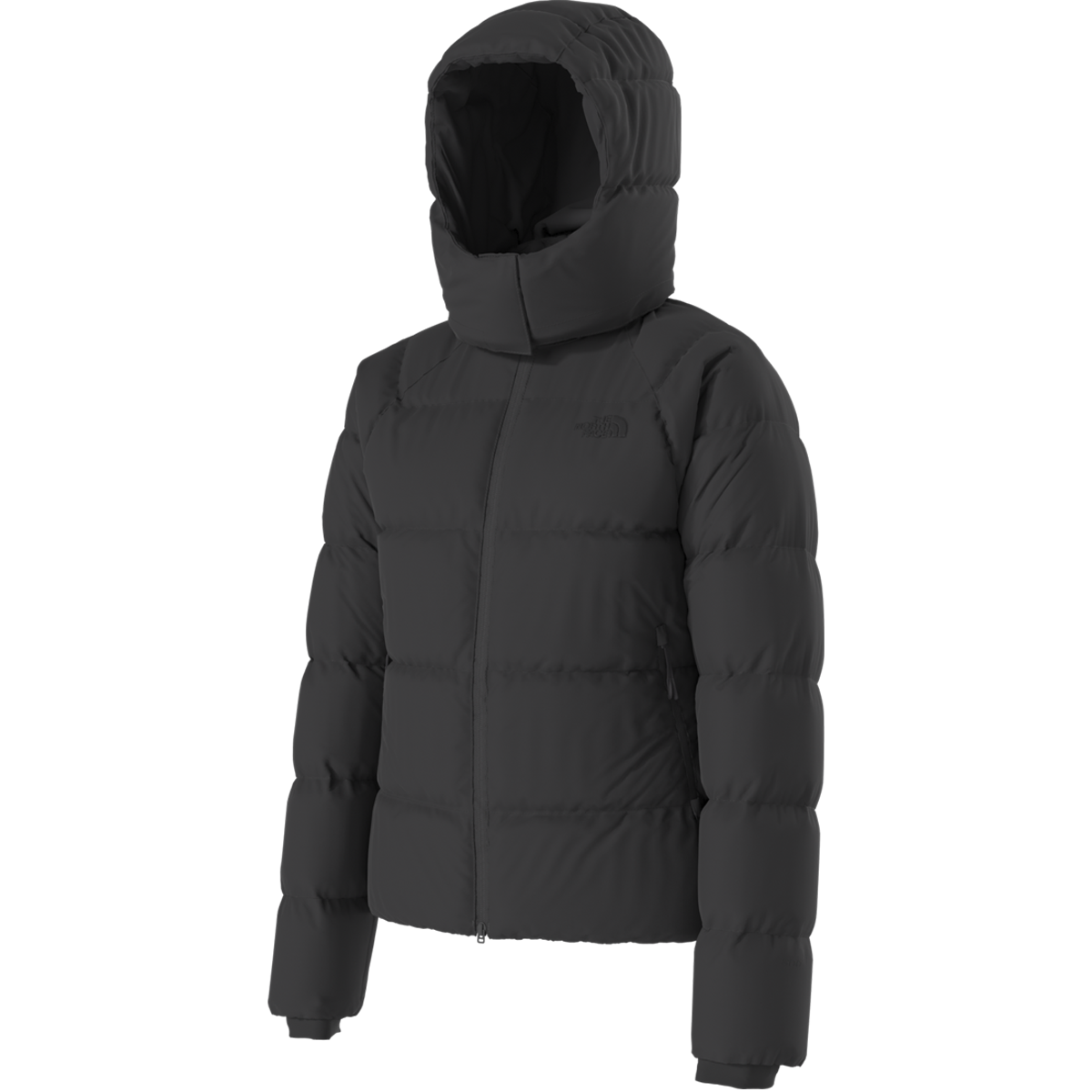 Women's Hydrenalite City Down Hooded Jacket alternate view