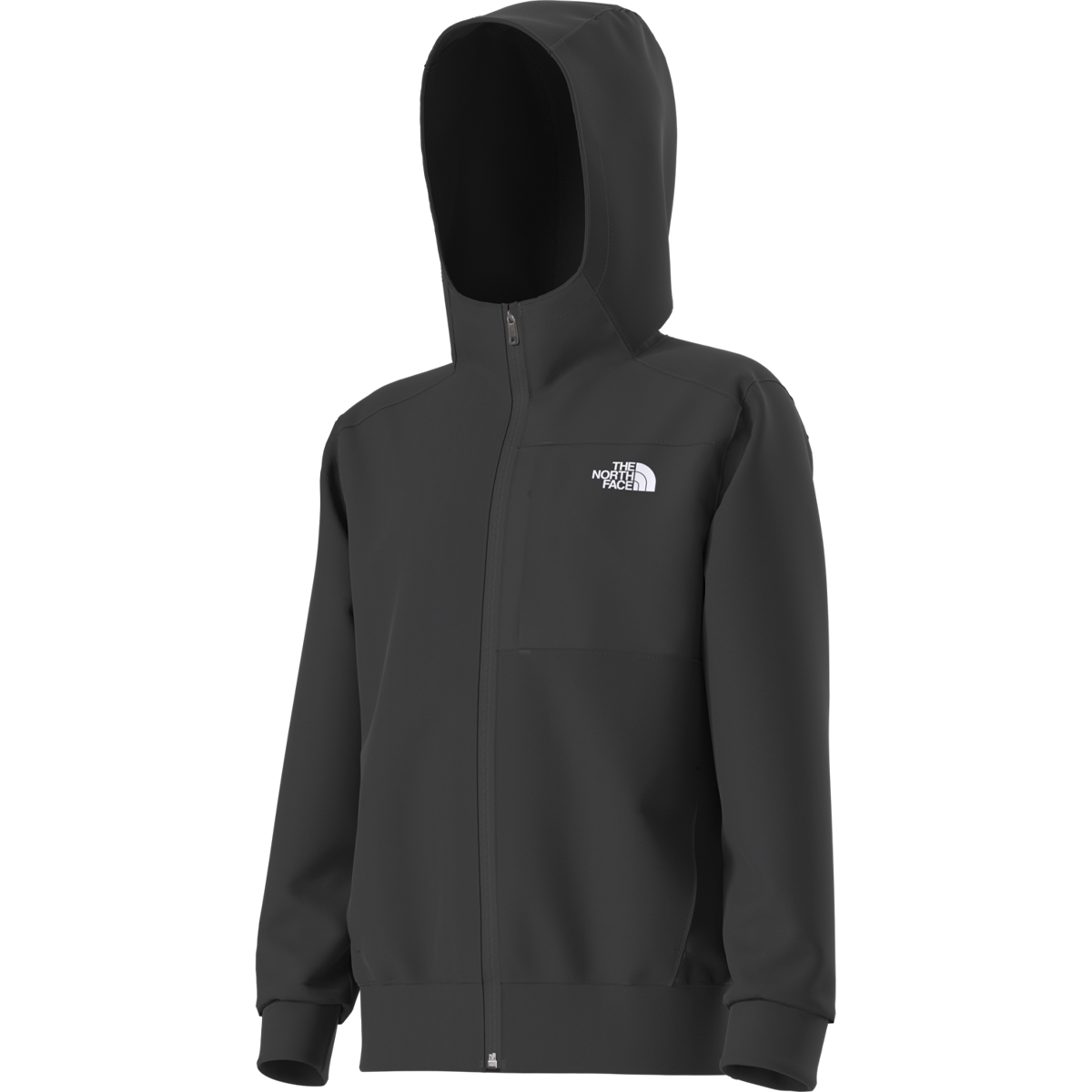 Youth Teen TNF Performance Fleece Full Zip Hooded Jacket alternate view
