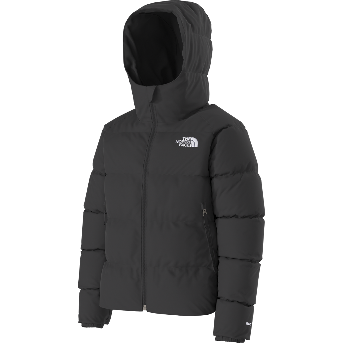 Youth Hydrenalite Down Hooded Jacket alternate view