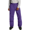 The North Face Men's Freedom Pant in Peak Purple/TNF Black