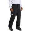 The North Face Men's Freedom Pant in TNF Black