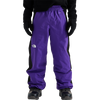 The North Face Men's Slider Pant in Peak Purple TNF Black