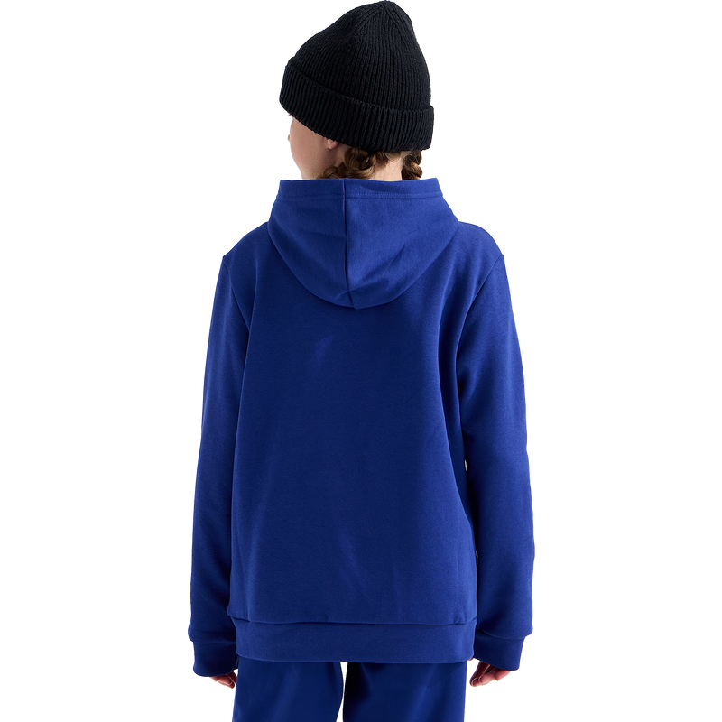 Youth Evolution Simple Dome Pullover Hoodie, The North Face Youth Evolution Simple Dome Pullover Hoodie in NLV-Bold Blue back