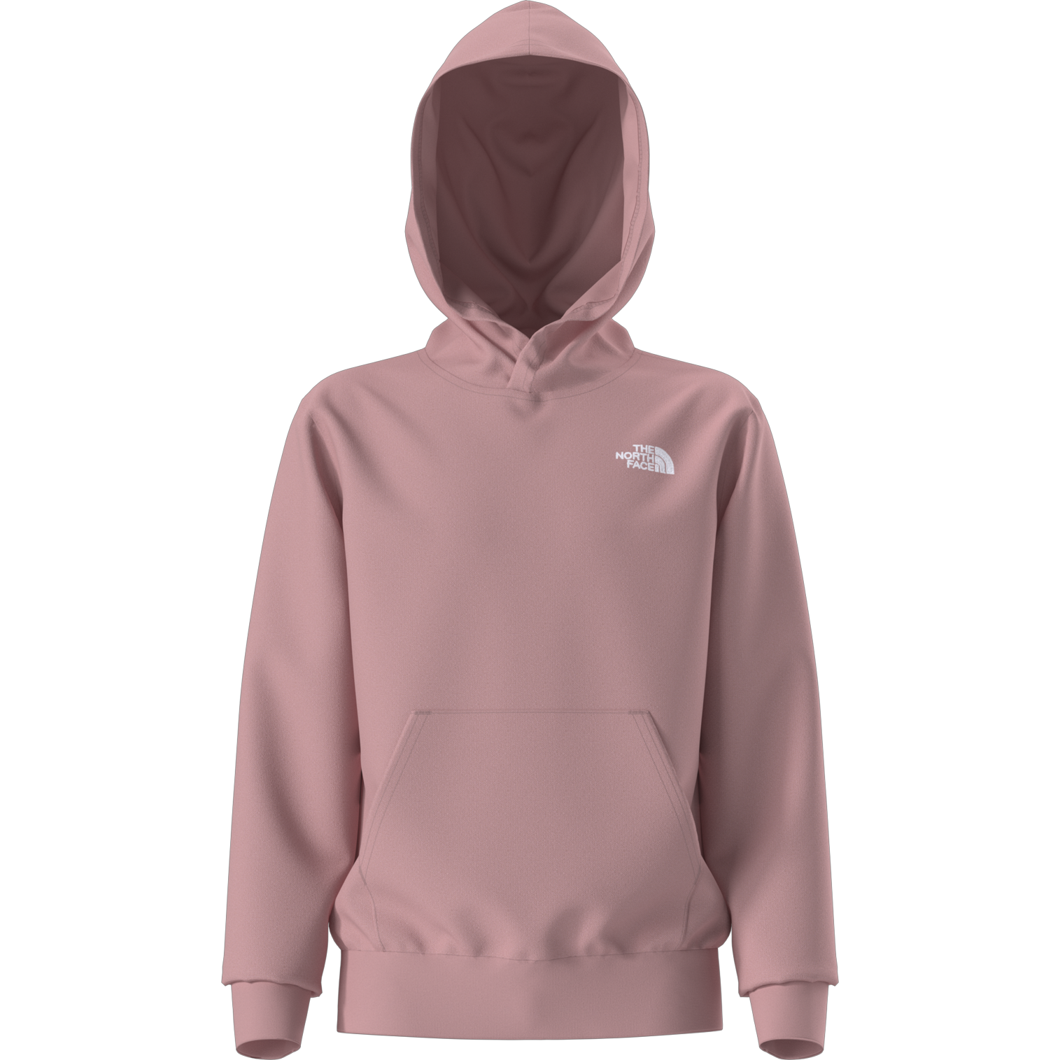 Youth Evolution Simple Dome Pullover Hoodie alternate view