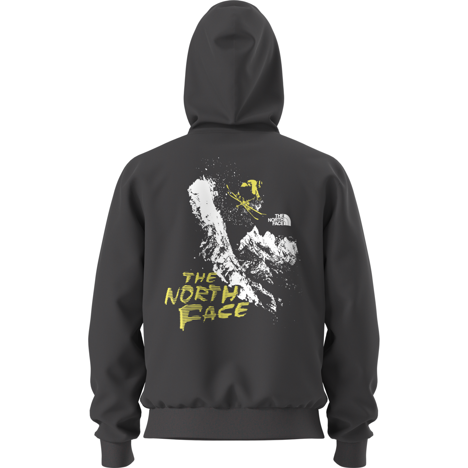 Evolution Decent Regular Hoodie alternate view