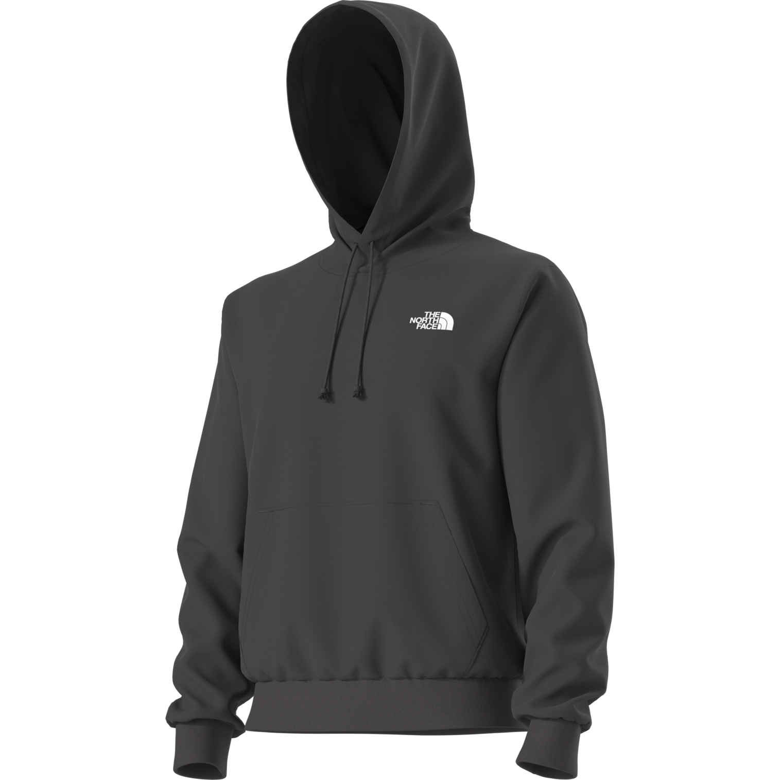 Evolution Decent Regular Hoodie alternate view