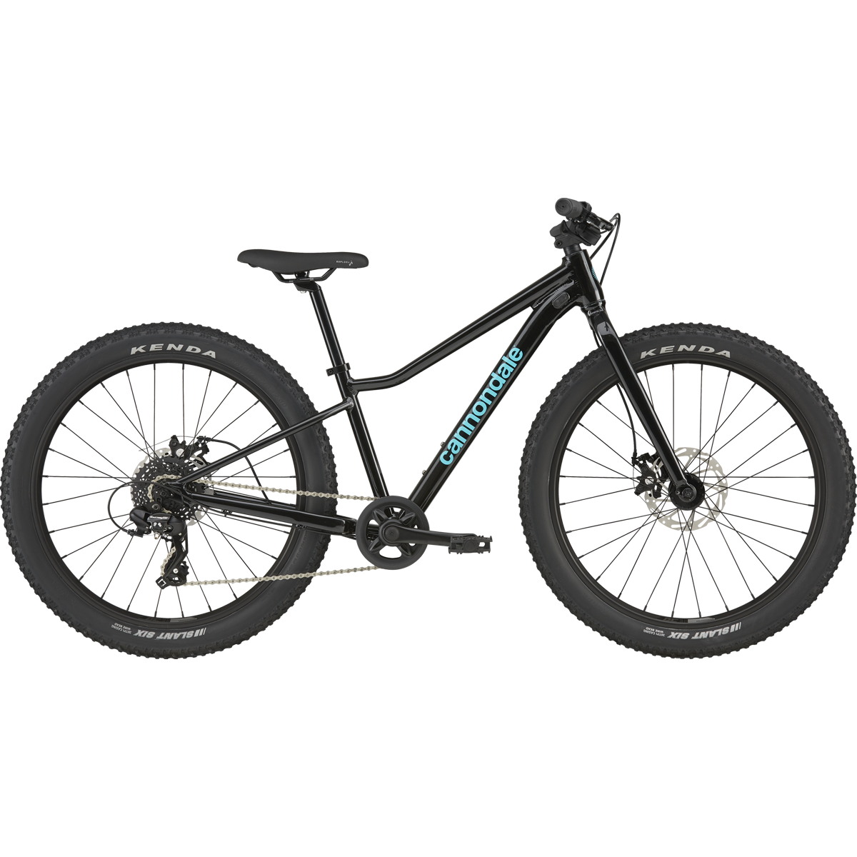Cannondale Youth Trail Plus 24 in Black Pearl
