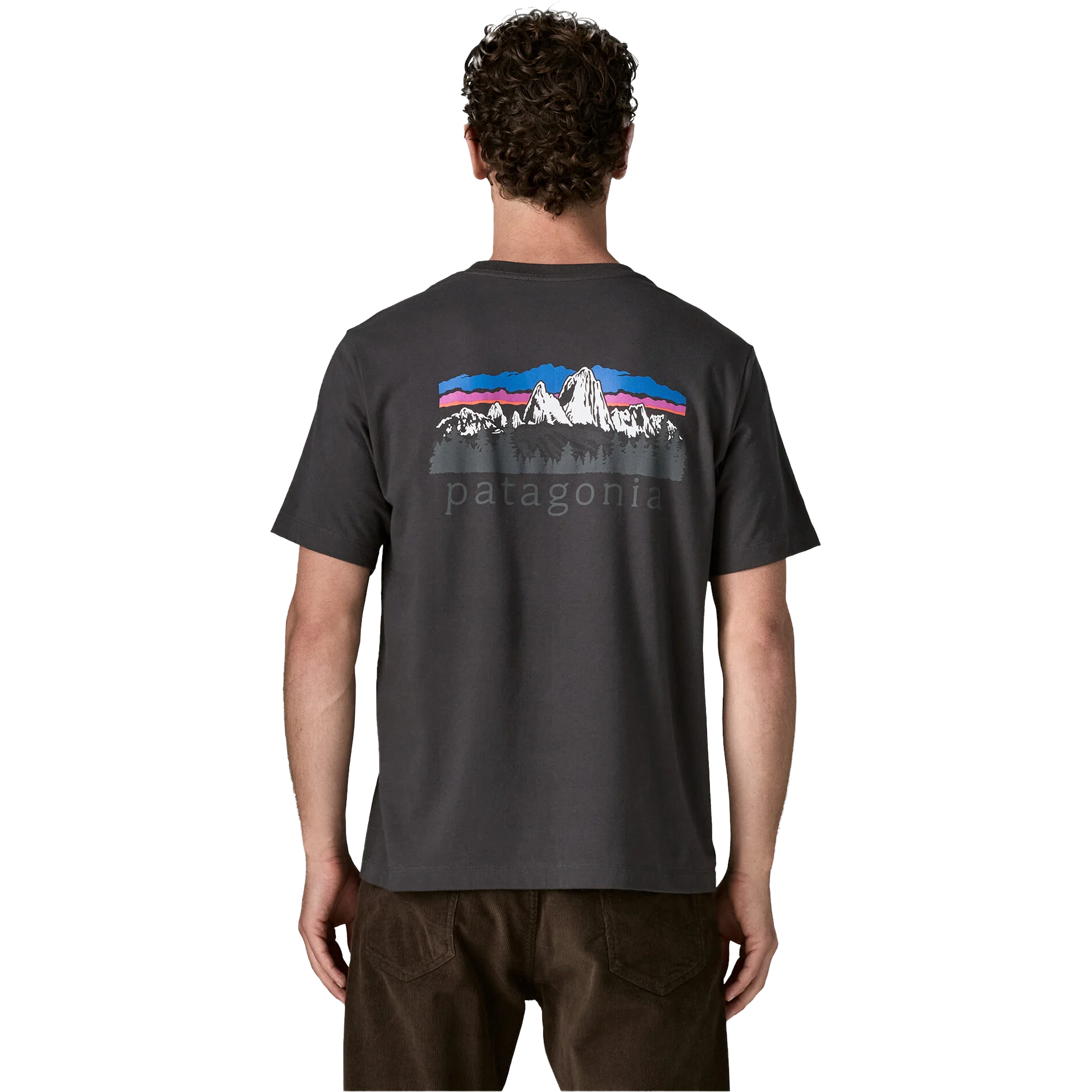 Patagonia Men’s Fitz Roy Foothills T-Shirt Back on model