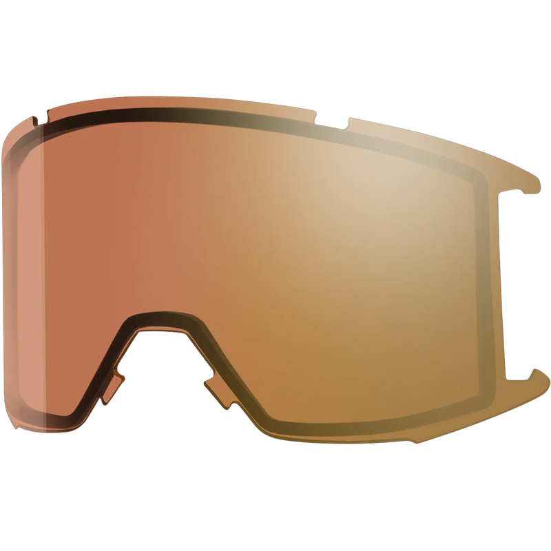Squad PhotoChromic Replacement Lens, Featured Image
