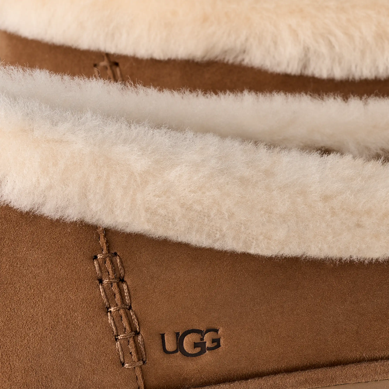 Women's Zora Ballet Flat, UGG Women's Zora Ballet Flat in CHE Chestnut fur