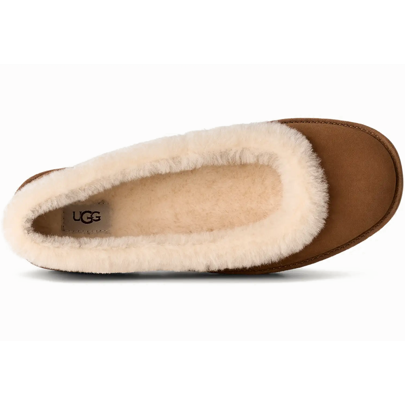 Women's Zora Ballet Flat, UGG Women's Zora Ballet Flat in CHE Chestnut top