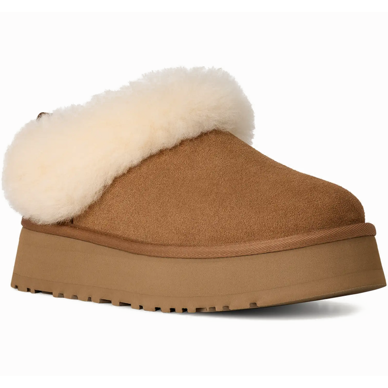 Women's Tazzelle, UGG Women's Tazzelle in CHE-Chestnut front right