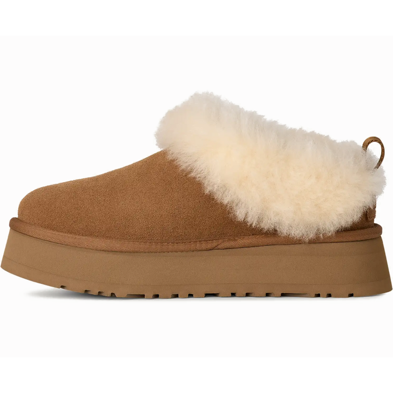 Women's Tazzelle, UGG Women's Tazzelle in CHE-Chestnut inside profile right shoe