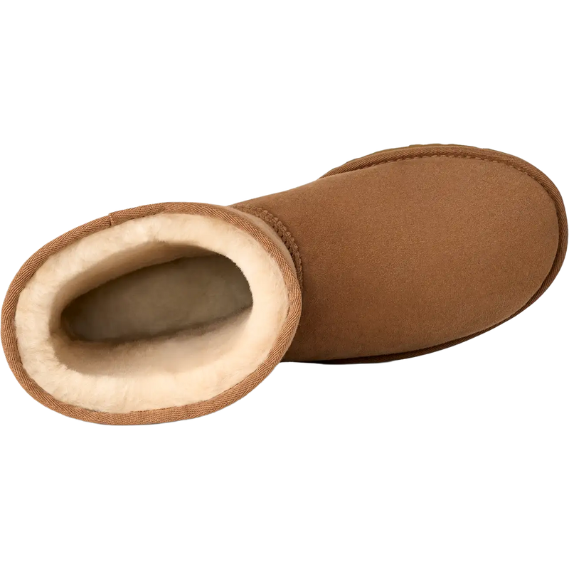 Men's Classic Short, UGG Men's Classic Short in Chestnut top view