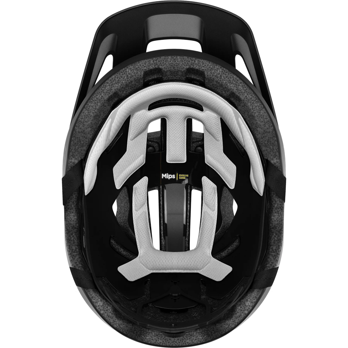 Pilot Mips alternate view