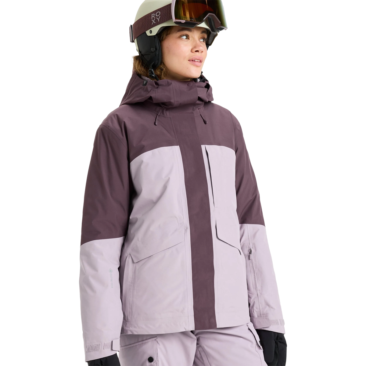 Women's Gore-Tex Stormday Jacket alternate view
