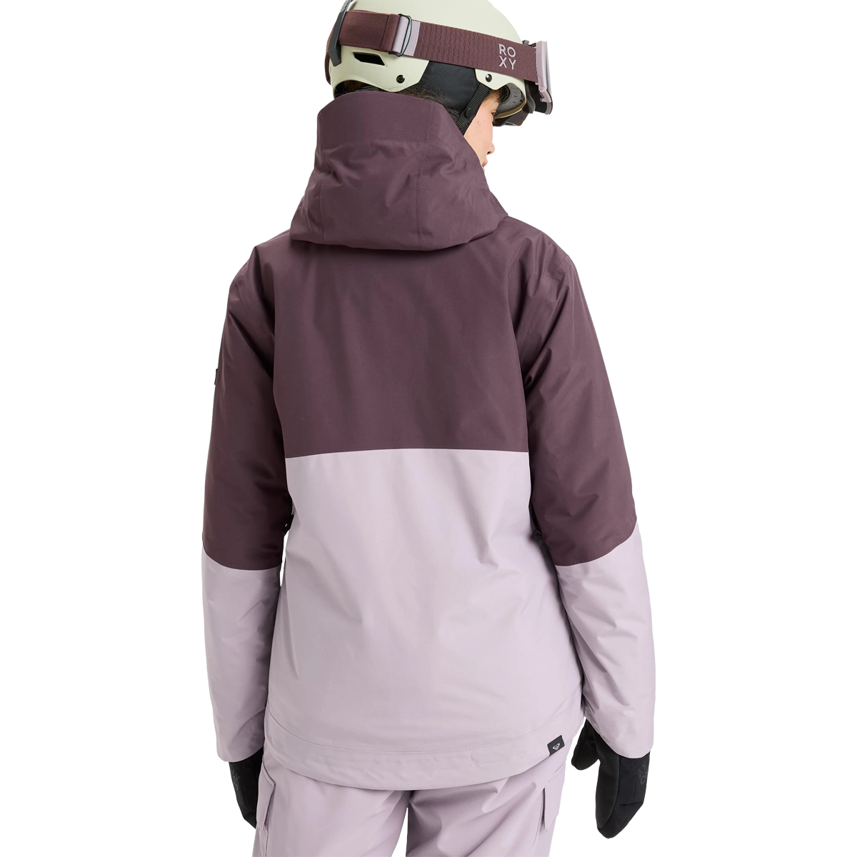 Women's Gore-Tex Stormday Jacket alternate view
