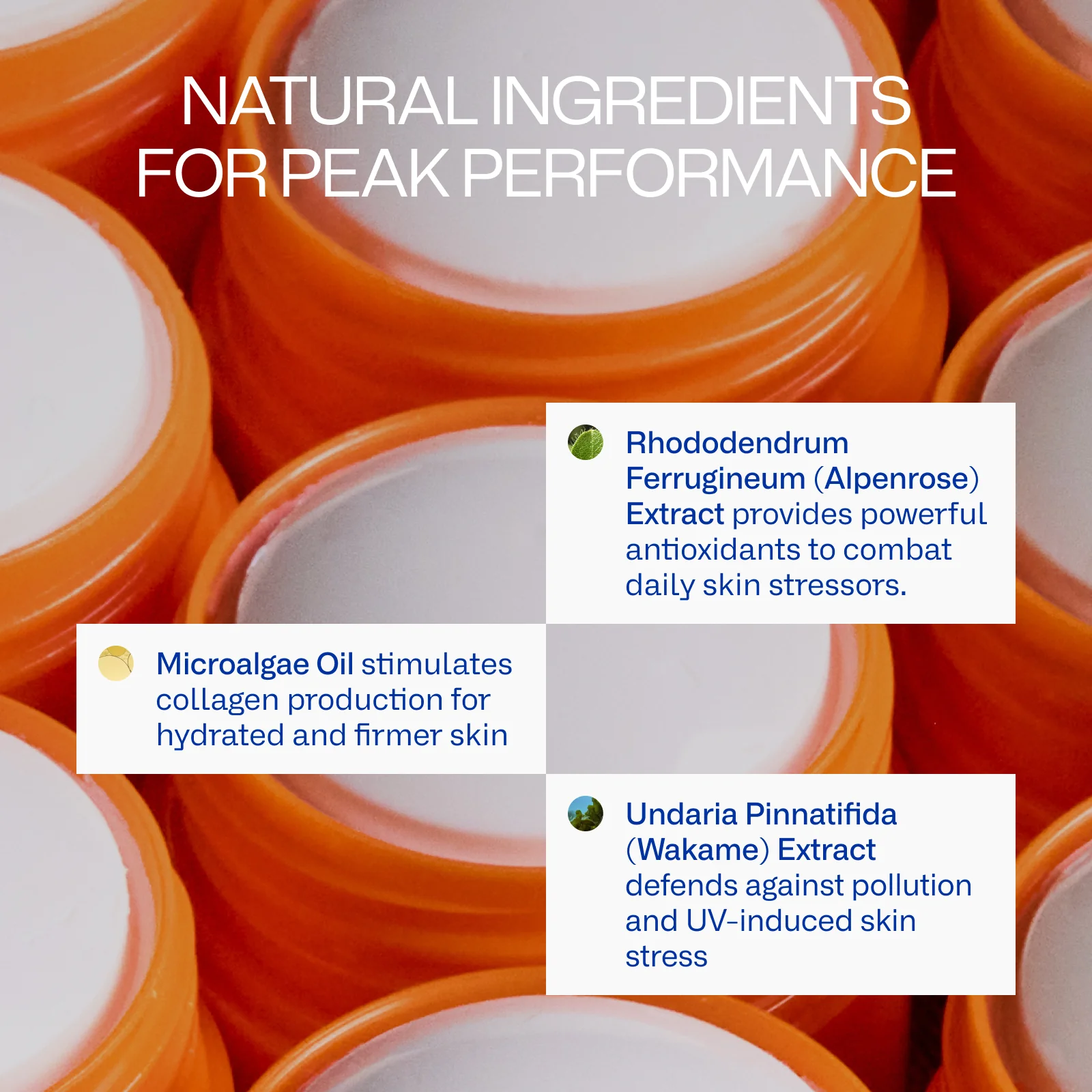 Peak Performance Sun Stick SPF 50 alternate view