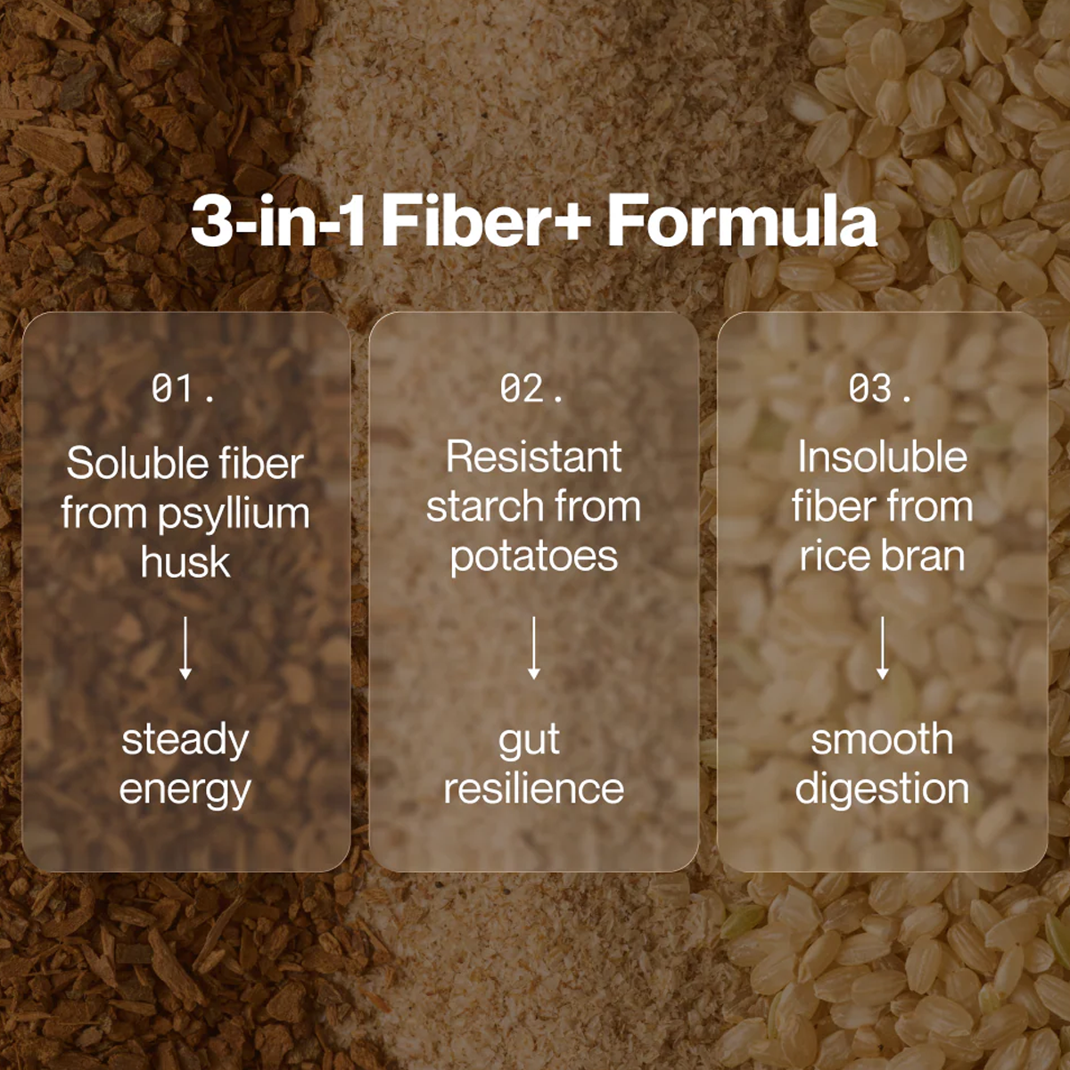 Fiber + (30 Servings) alternate view