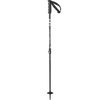Black/Silver