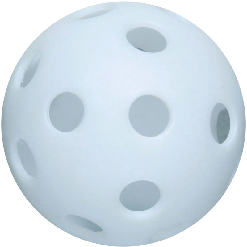Poly Molded Training Ball, Champro Poly Molded Training Ball