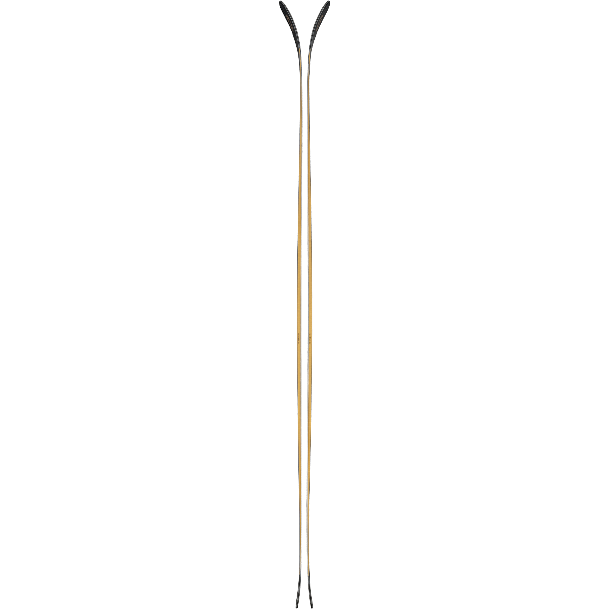 Anomaly 94 alternate view
