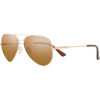 Gold/Polarized Brown