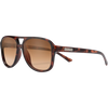 Tortoise/Polarized Brown Gradient