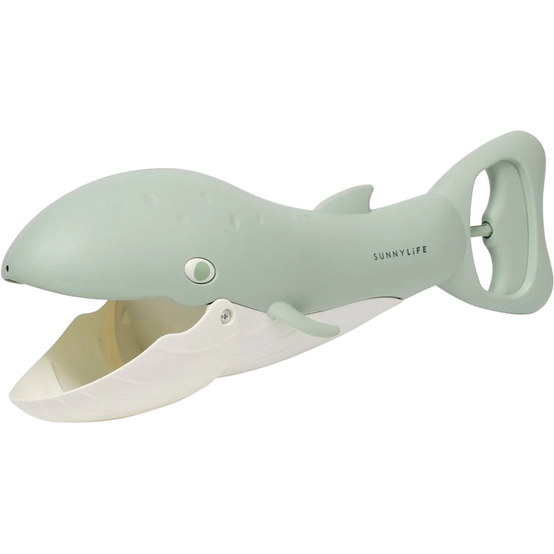 Sand Claws Whale, Featured Image