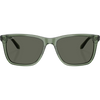 Algae Green/Gray