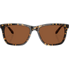 Tortoise/Copper