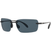 Shiny Black/Gray