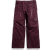 Burton Men's AK Swash Insulated Gore Tex 2L Pants in Rum Raisin