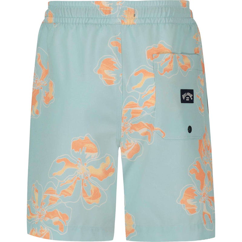 Youth Sunday Layback, Billabong Youth Sunday Layback Shorts Back
