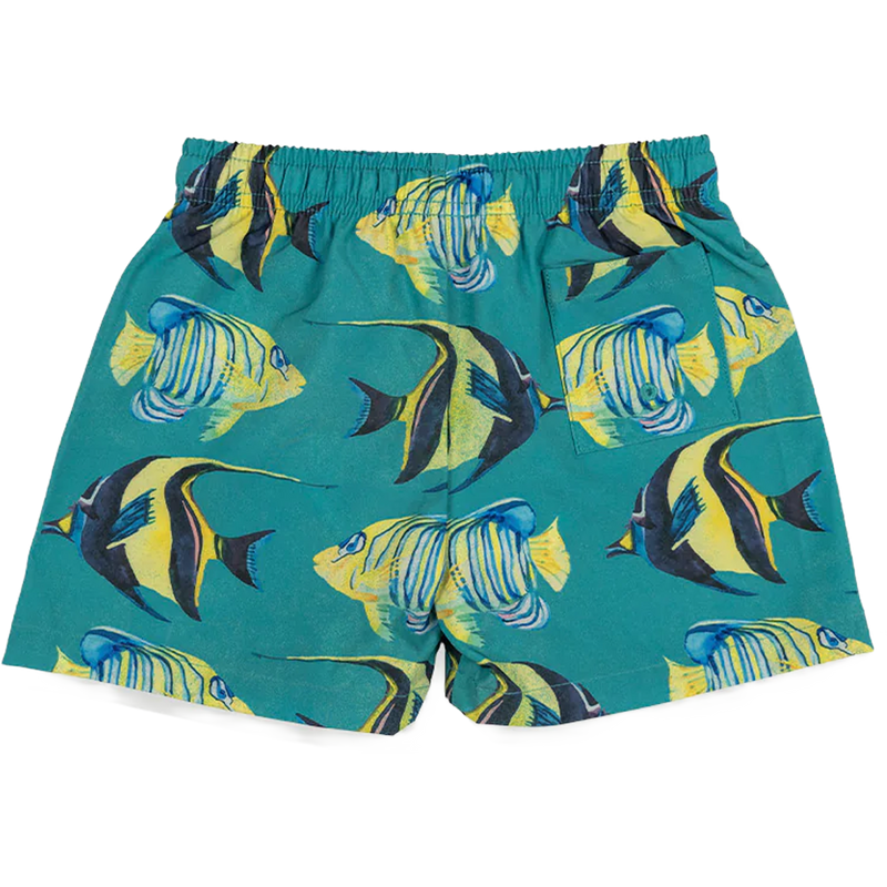 Youth Aquarium Swim Boardshort, Duvin Youth Aquarium Swim Boardshort back view