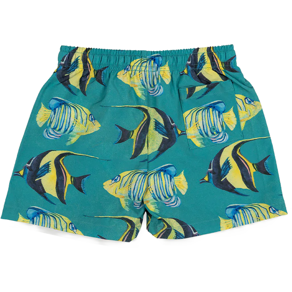 Youth Aquarium Swim Boardshort alternate view
