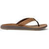Bronze/Brown
