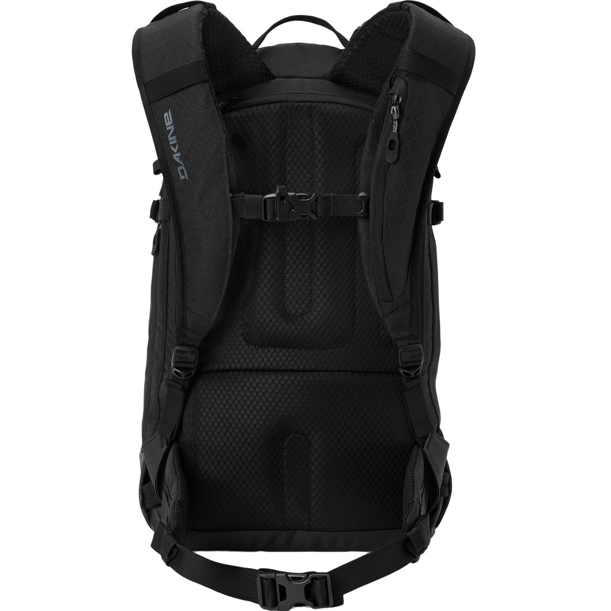 Dakine Heli 2.0 Pro Backpack back of pack with straps