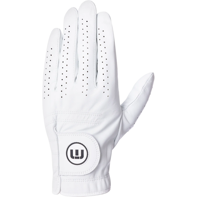 Premier 2.0 Glove, Featured Image