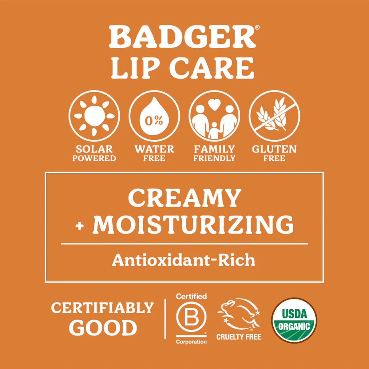 Cocoa Butter Lip Balm Set alternate view