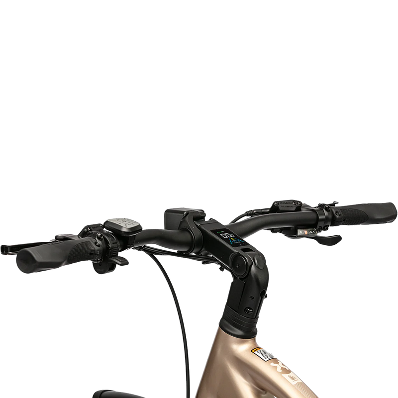 Trax Sport Mid-Step, Troxus Trax Sport mid step handlebars
