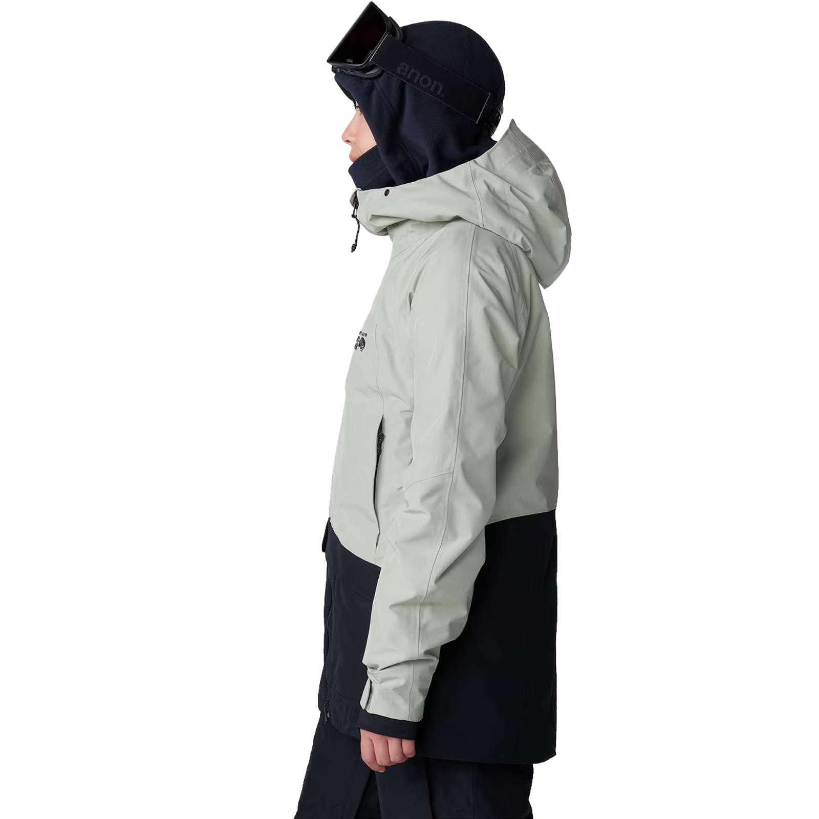 Women's Cloud Bank GORE-TEX Jacket alternate view