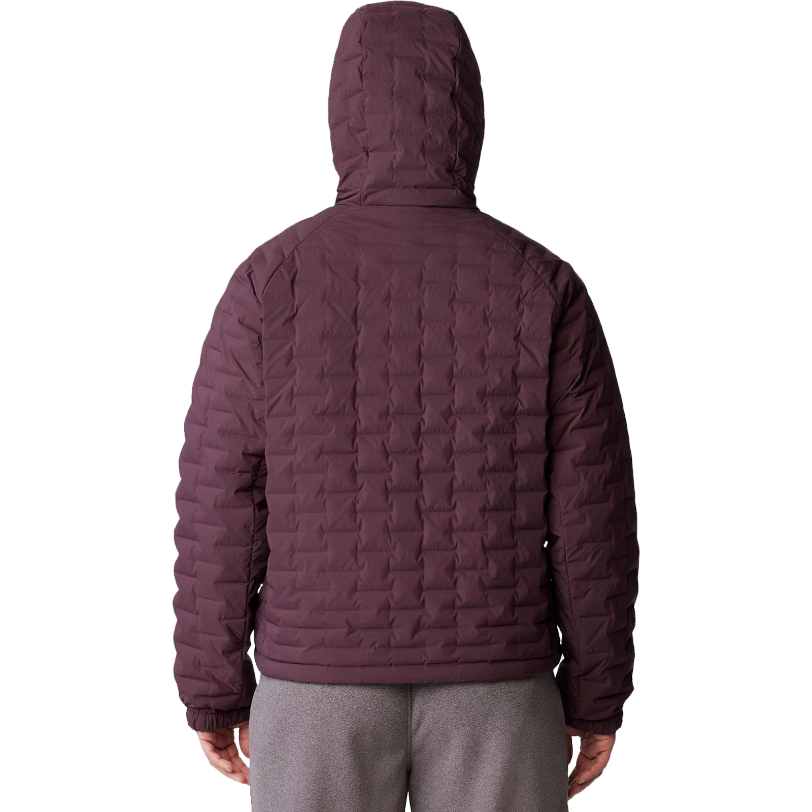Women's Stretchdown Light Full Zip Hoody alternate view