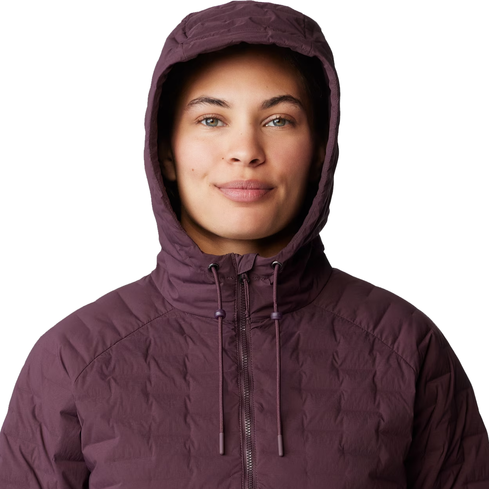 Women's Stretchdown Light Full Zip Hoody alternate view
