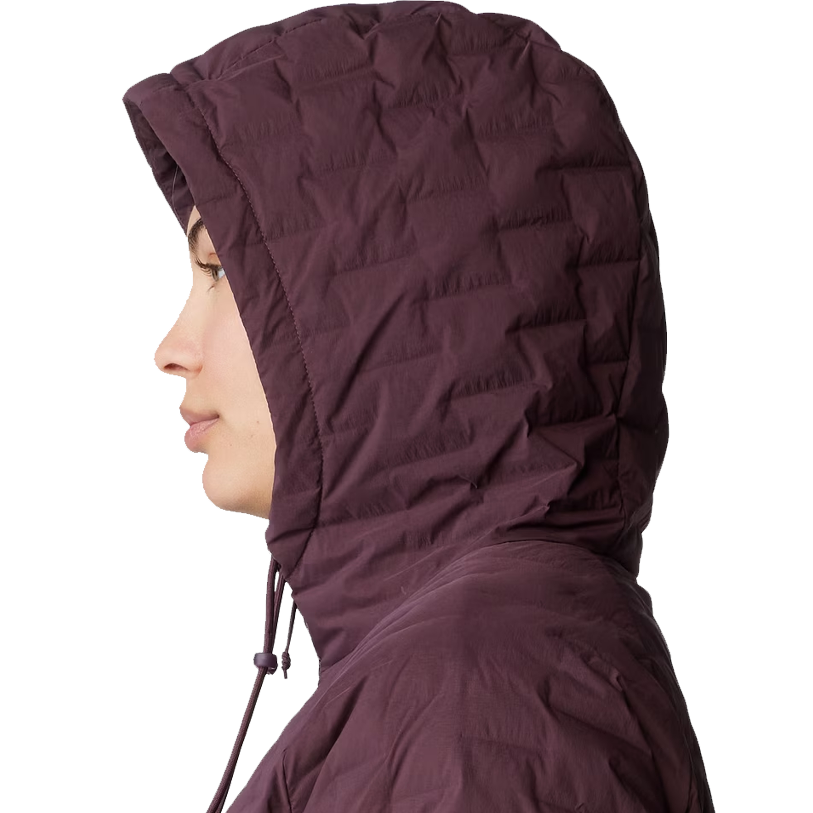 Women's Stretchdown Light Full Zip Hoody alternate view