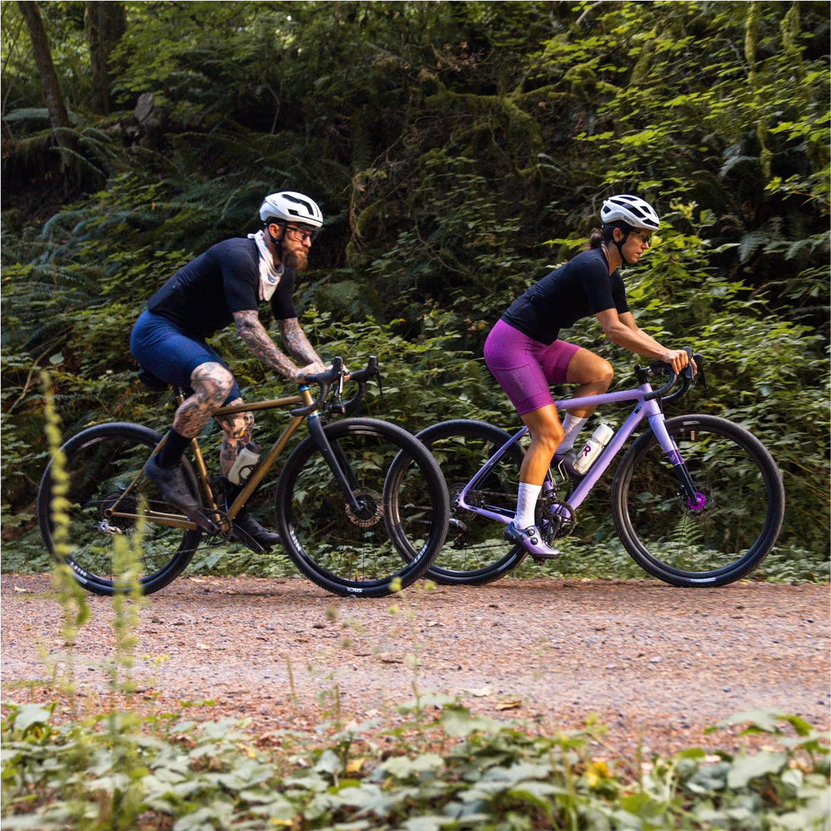Protocol RCG-3 alternate view