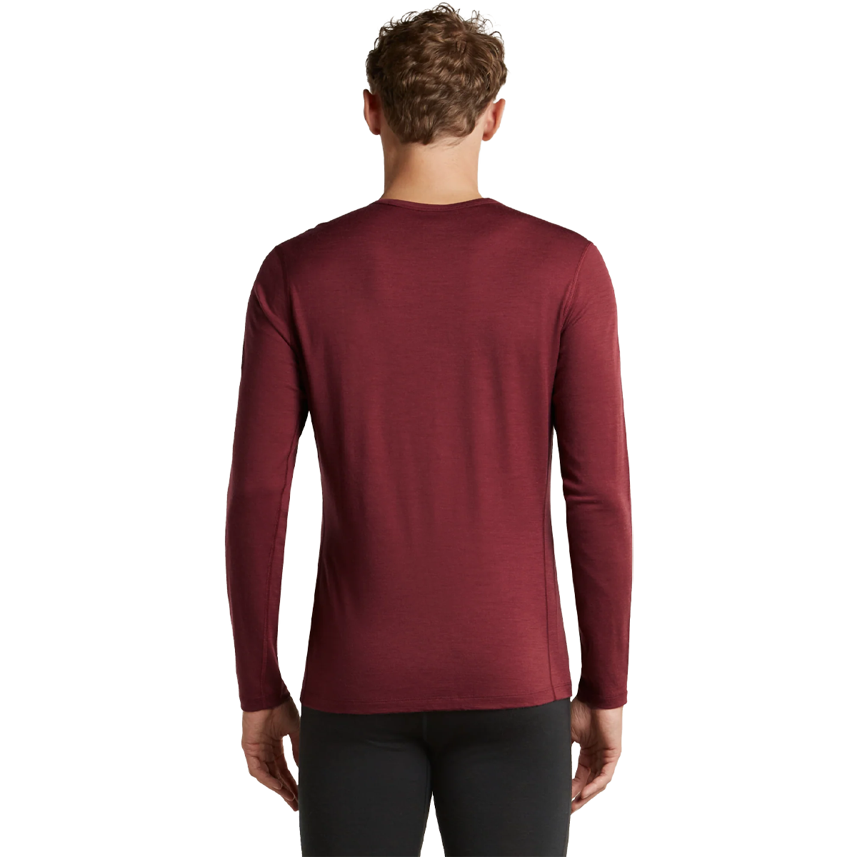 Ice Breaker Merino 200 Oasis Long Sleeve Crew in Port back view on model